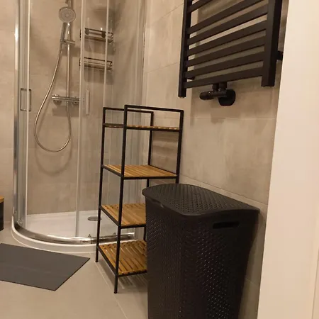 Swarne Katy Apartment Zakopane